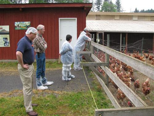 Free Range and Pasture Raised officially defined by HFAC for