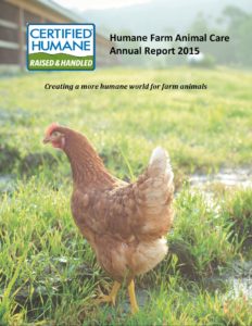 Annual Report 2015 Cover image