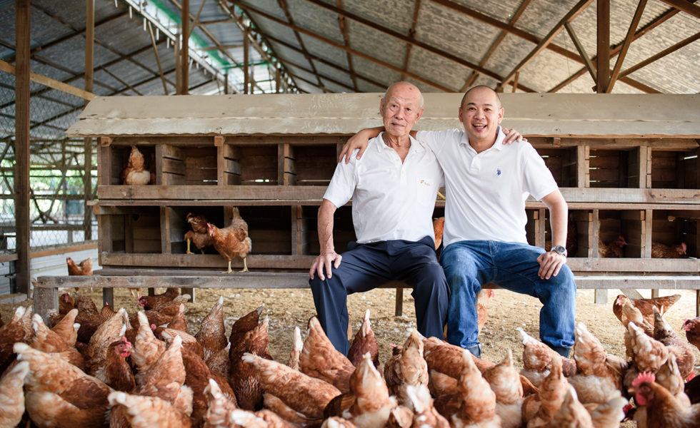 Consumer Demand Sparks First Certified Humane Chicken And Egg