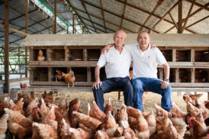 Family-owned and operated Liang Kee Farming free-range laying hen operation, Kampar, Malaysia